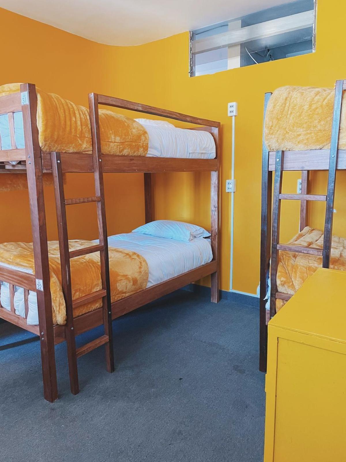 Lobo Hostel ลาปาซ ภายนอก รูปภาพ